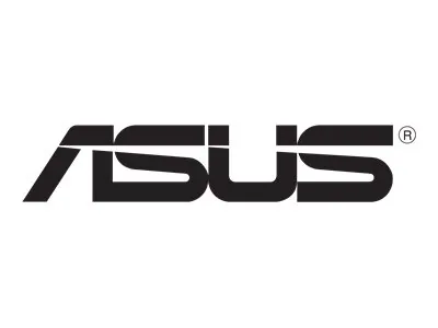 ASUS - Sítový adaptér - 2.5GBase-T x 1