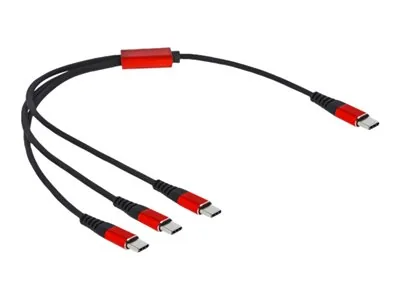 Delock - USB kabel - USB-C (M) do USB-C (M) - USB 2.0 - 5 V - 3 A - 30 cm - černá