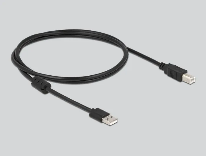 Delock - Skener cárového kódu - prenosný - 200 sken / s - dekódovaný - RF(2.4 GHz)
