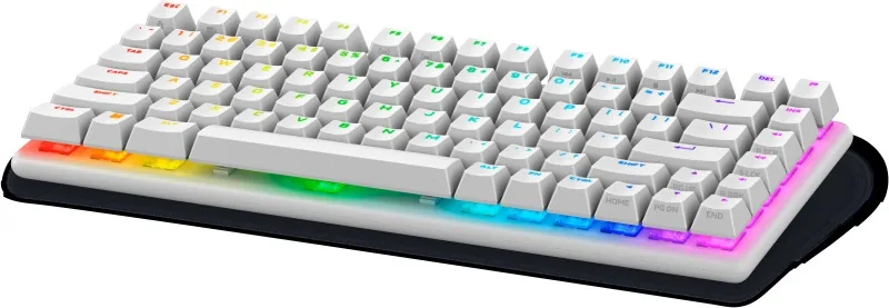 Alienware/Bezdrátová USB + Bluetooth/IE layout/Bílá