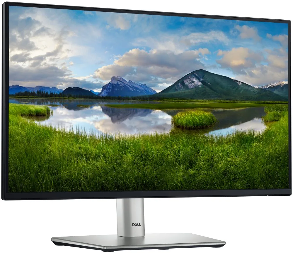 Dell/P2225H/21,5"/IPS/FHD/100Hz/5ms/Black/3RNBD