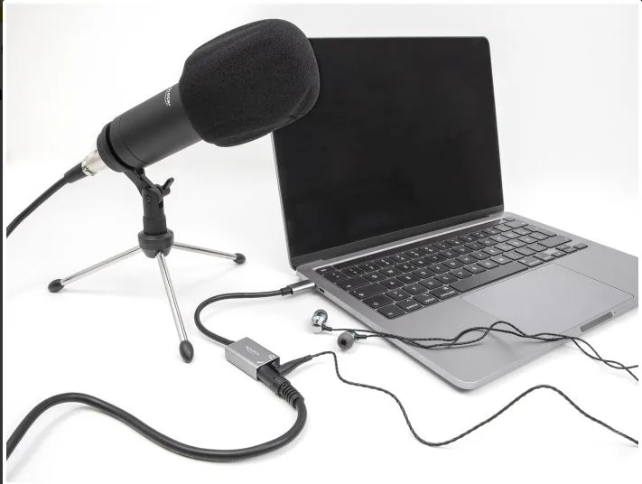 Delock - Adaptér USB-C/jack sluchátek - 24 pin USB-C s piny (male) do mono mini jack, mini-phone stereo 3.5 mm se zdírkami (female) - 14.5 cm - šedá