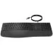 HP 485 Comfort - Klávesnice - více zařízení, 23 programovatelných kláves, rozložení ve 3 zónách - full size - USB - česká/slovenská - černá