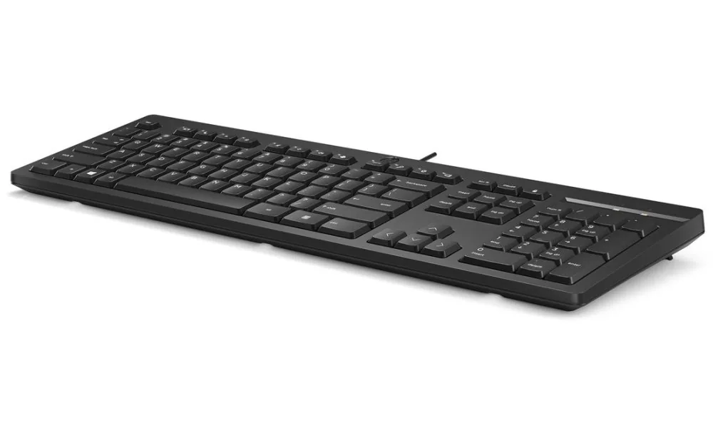 HP 125 G2 - Klávesnice - 100% - full size - USB - česká/slovenská - černá