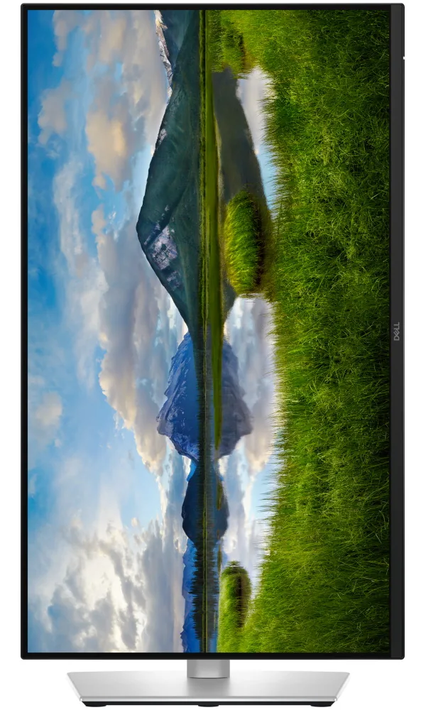 Dell Pro Plus/P2425DE/23,8"/IPS/QHD/100Hz/5ms/Blck-Slvr/3R