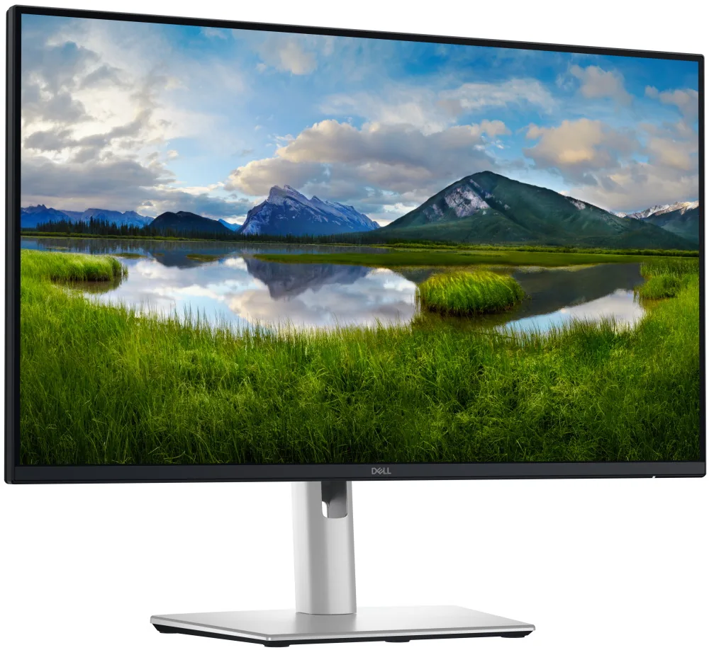 Dell Pro Plus/P2425DE/23,8"/IPS/QHD/100Hz/5ms/Blck-Slvr/3R