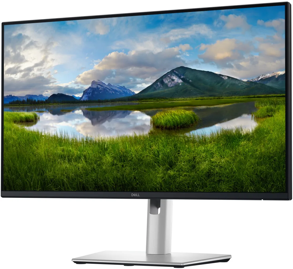Dell Pro Plus/P2425DE/23,8"/IPS/QHD/100Hz/5ms/Blck-Slvr/3R