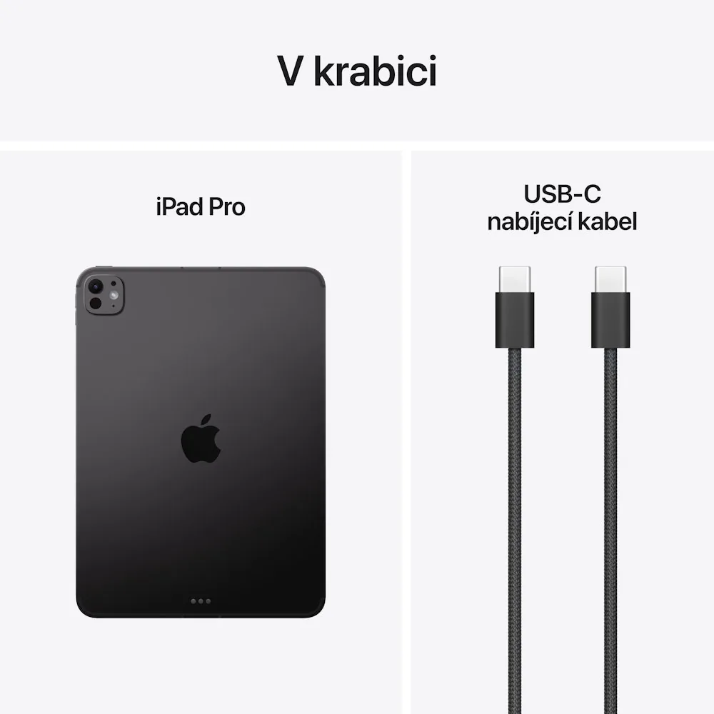 Apple iPad Pro 11" (M5)/Wi-Fi + Cellular/11"/2420x1668/12GB/256GB/iPadOS/Space Black