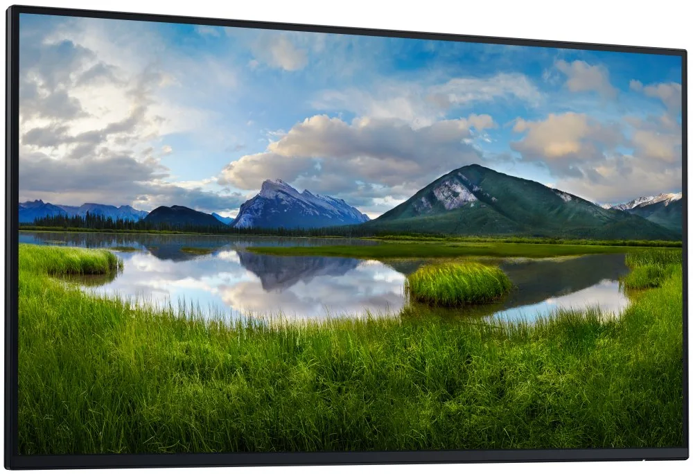 Dell/P2725H/bez stojanu/27"/IPS/FHD/100Hz/5ms/Black/3RNBD