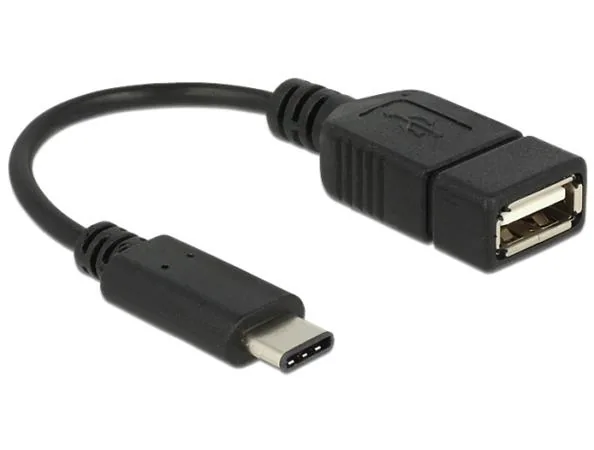 Delock - USB adaptér - USB-C (M) do USB (F) - USB 2.0 - 15 cm - černá