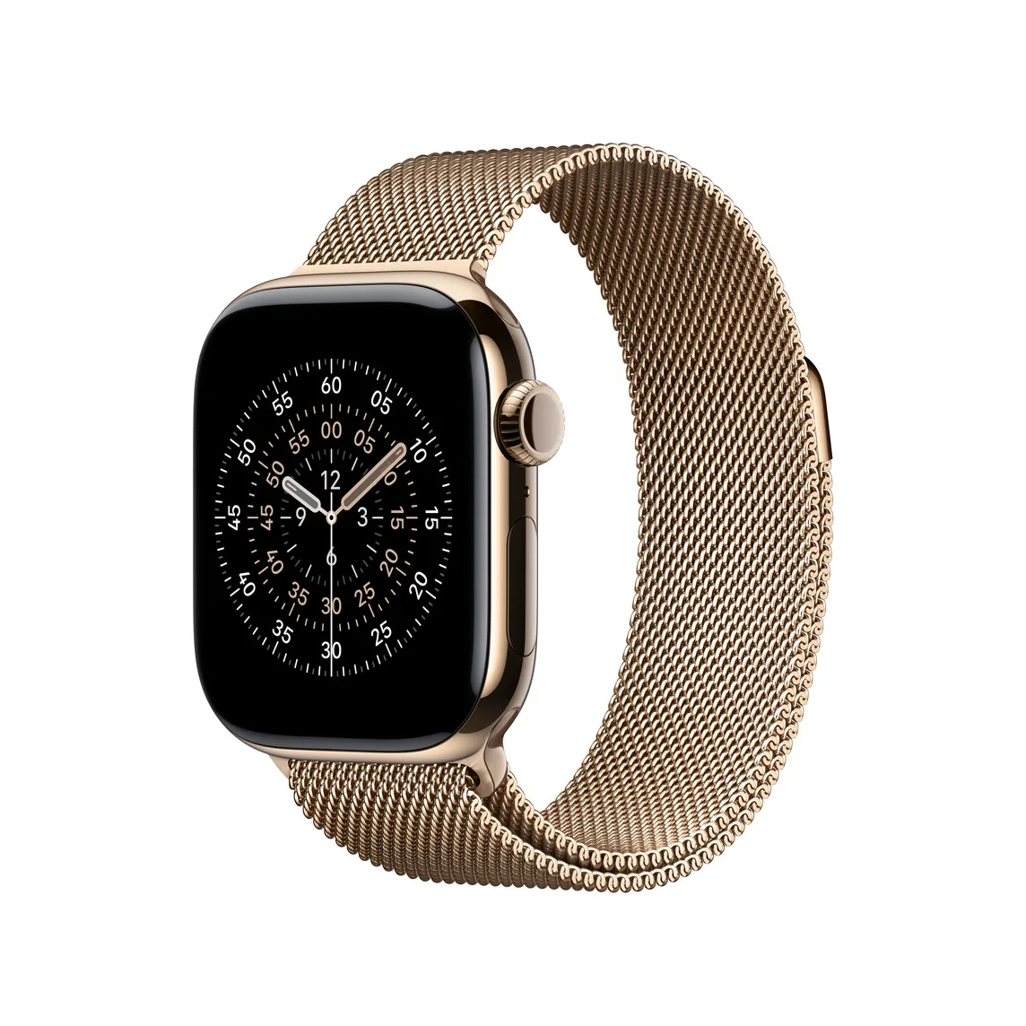 Watch Acc/42/Gold Milanese Loop