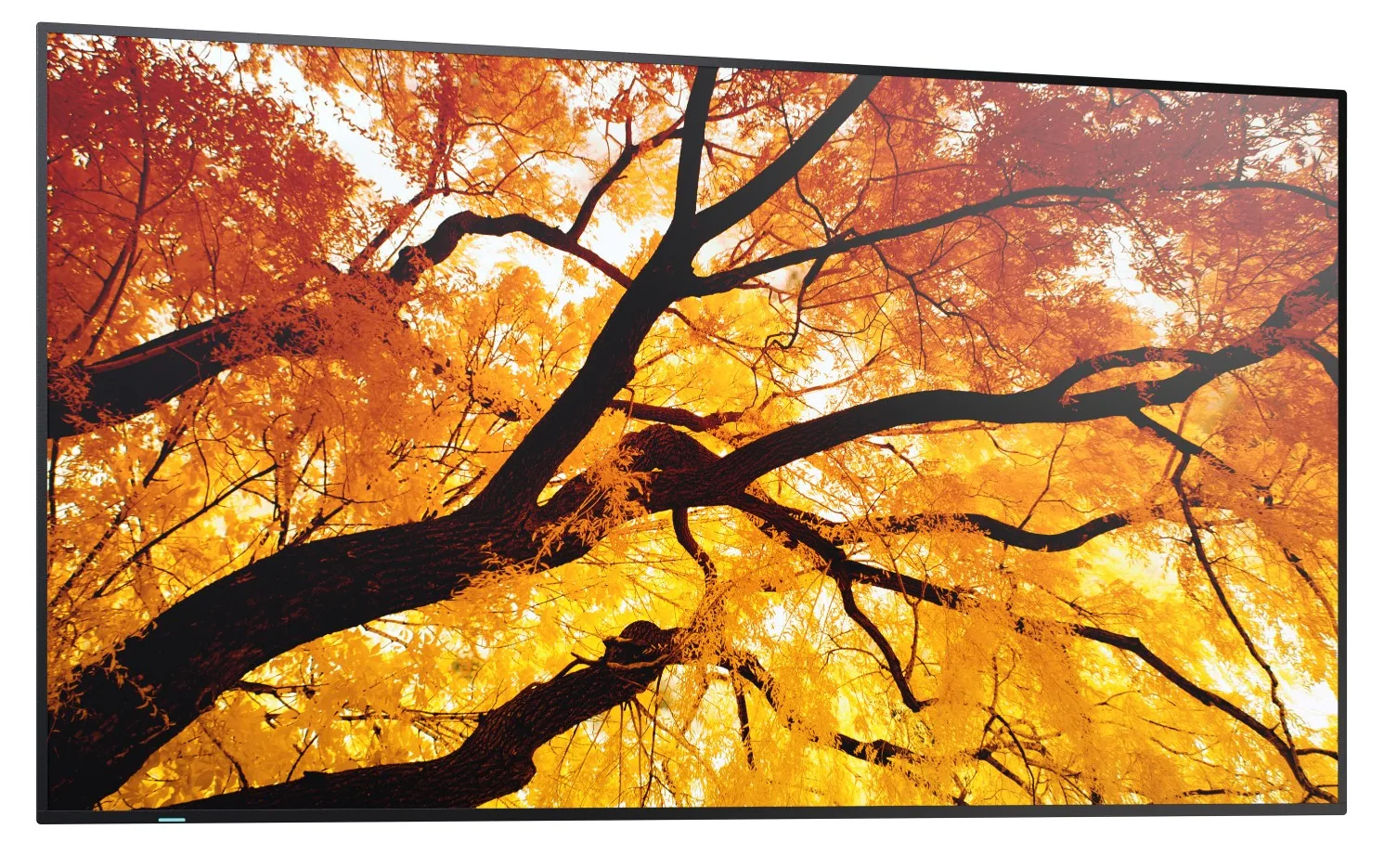 50" LED SHARP M502,3840x2160,24/7